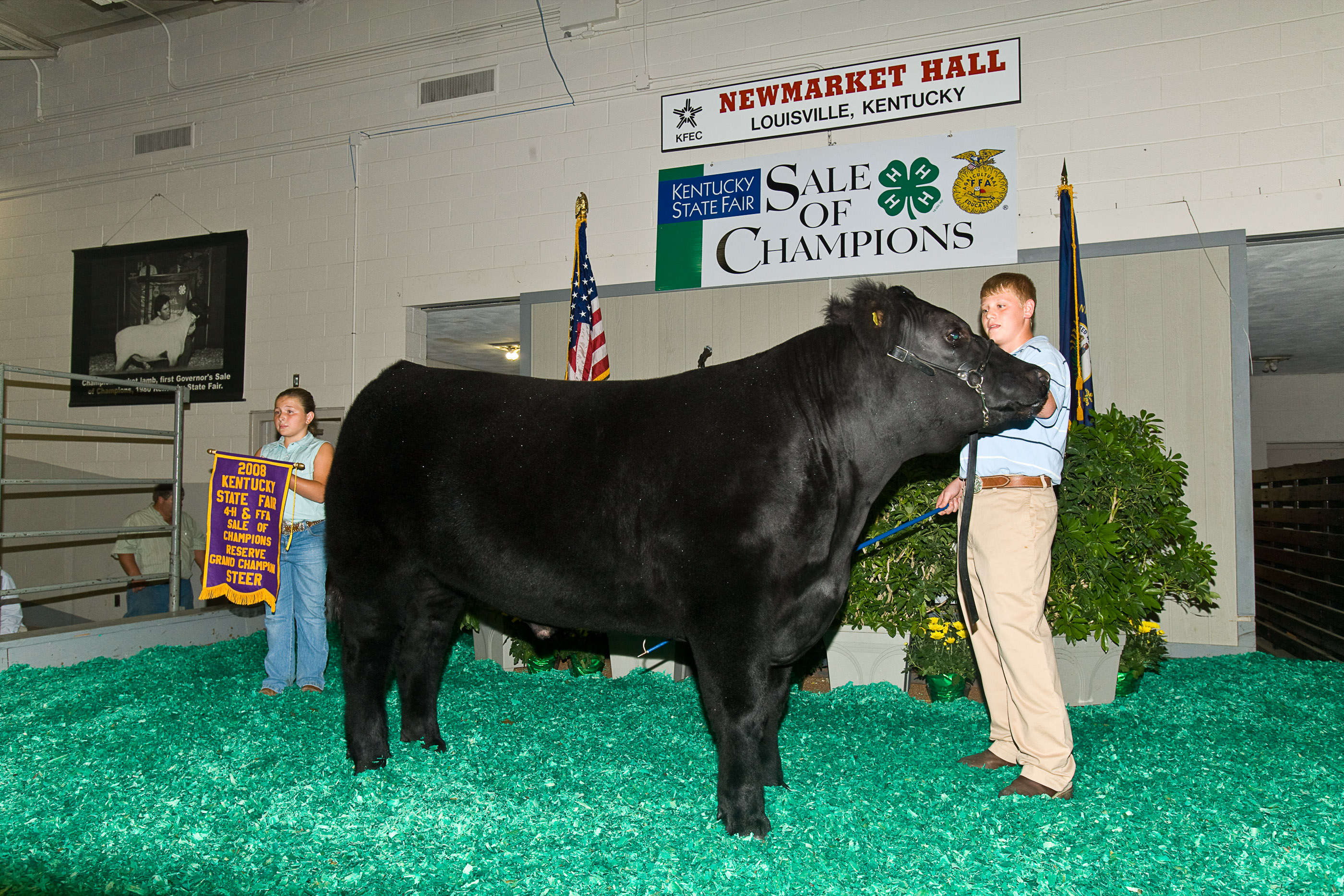 Livestock Markets in Kentucky Beef Center of Excellence